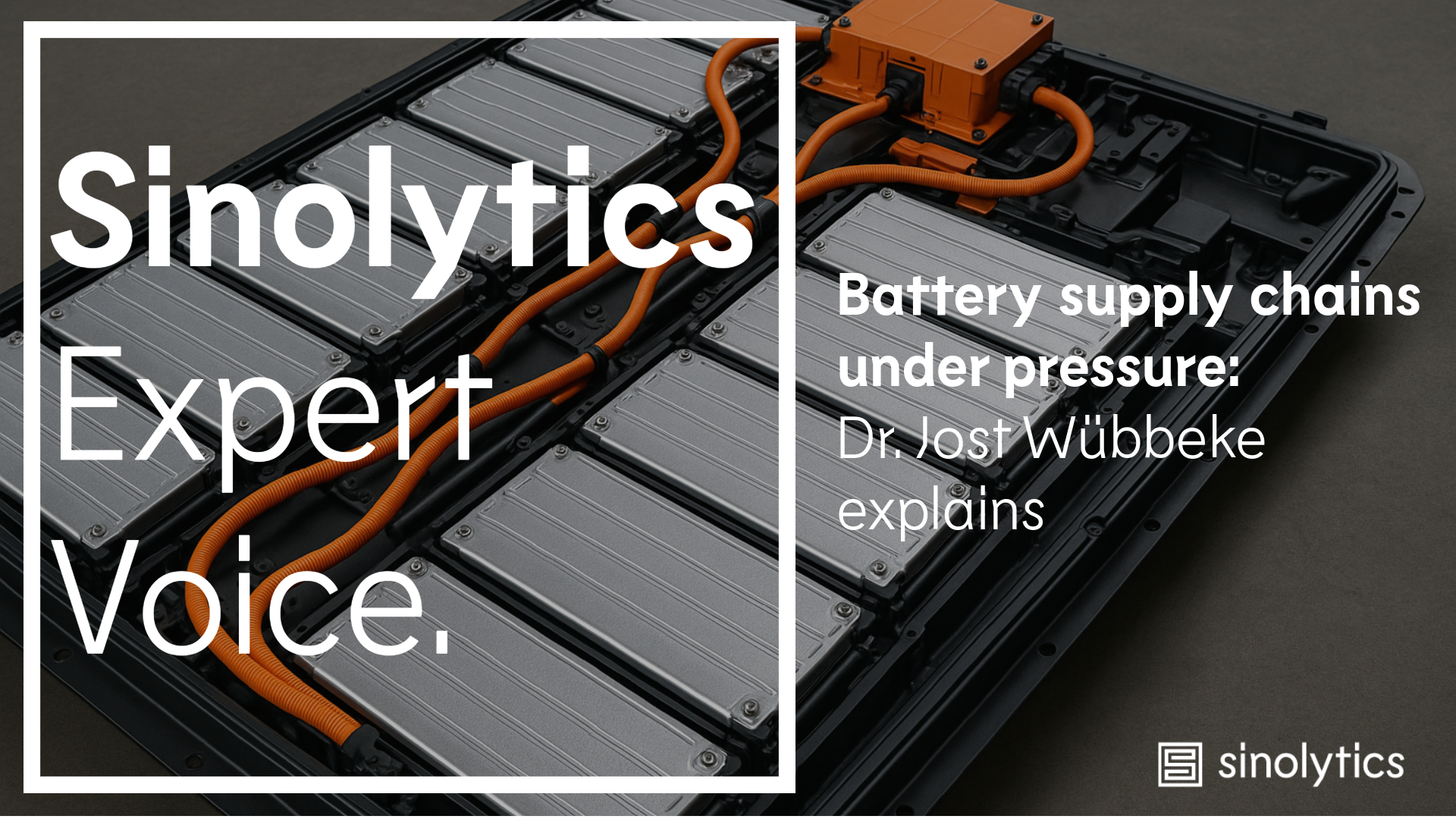 Sinolytics Expert Voice Oct 2025 with Dr. Jost Wübbeke on the latest export controls
